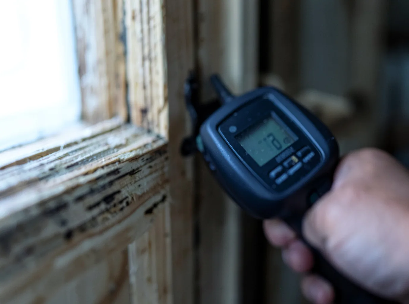 Moisture Inspection And Documentation in Barnegat Light, NJ